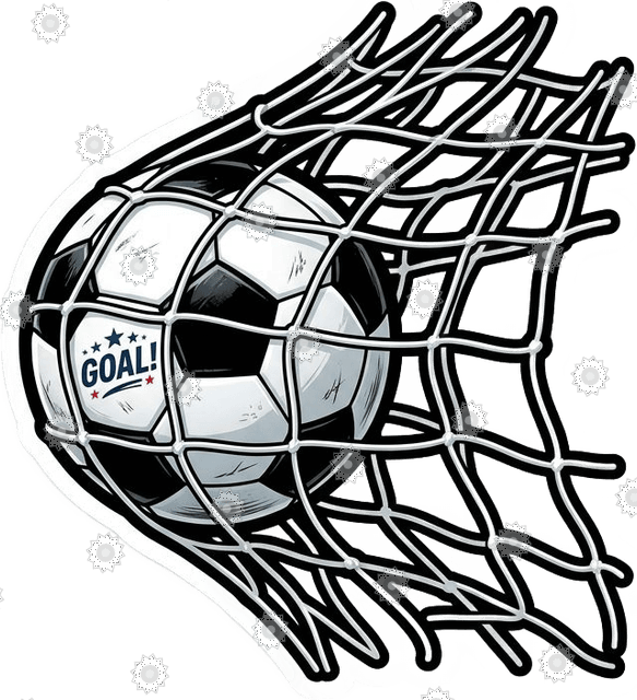 Soccer Ball Hitting The Net